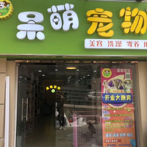呆萌宠物店:镇江市句容市