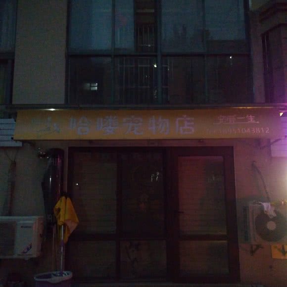 哈喽宠物店·宠爱一生:镇江市句容市