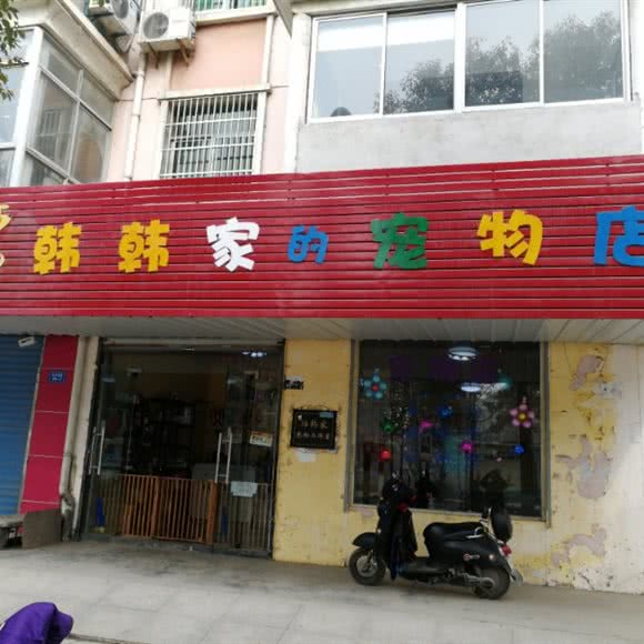 韩韩家的宠物店:镇江市句容市