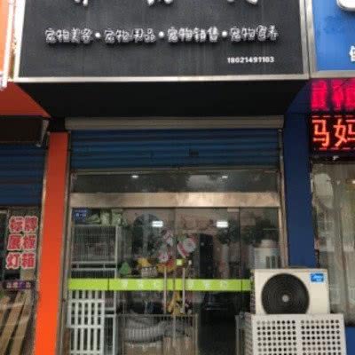 寻宠记:镇江市句容市