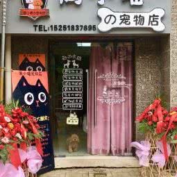 周小喵的的宠物店:镇江市句容市