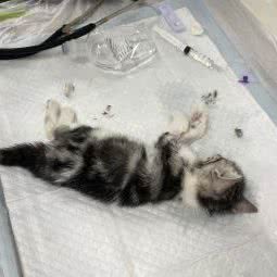 1号喵喵:镇江市句容市