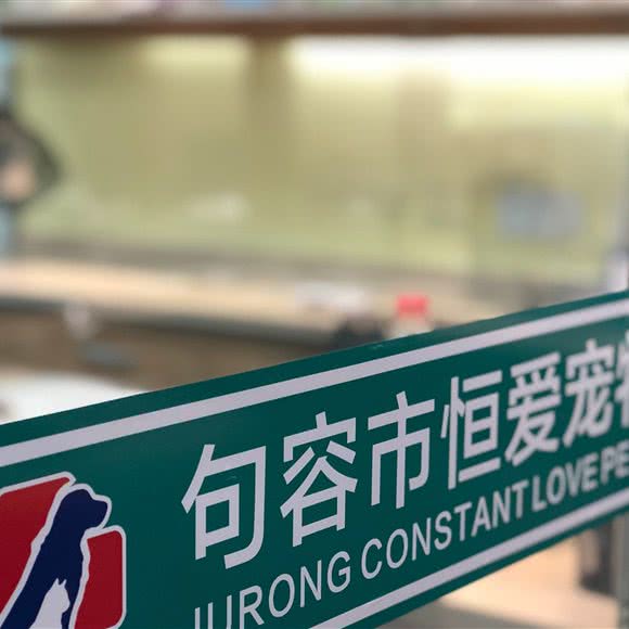 恒爱宠物医院:镇江市句容市