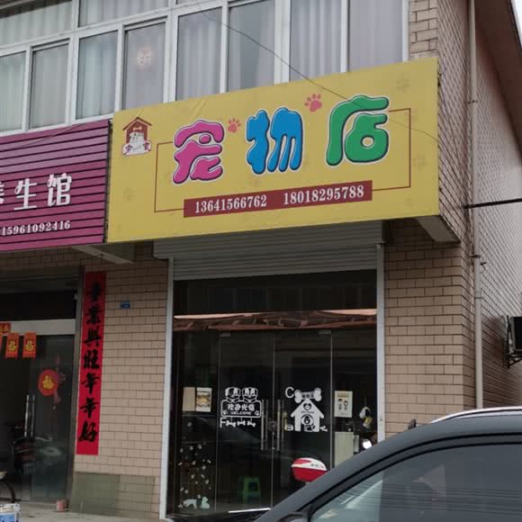 宠一家宠物店:泰州市海陵区