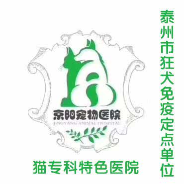 京阳宠物医院·心脏彩超·特色猫科:泰州市海陵区