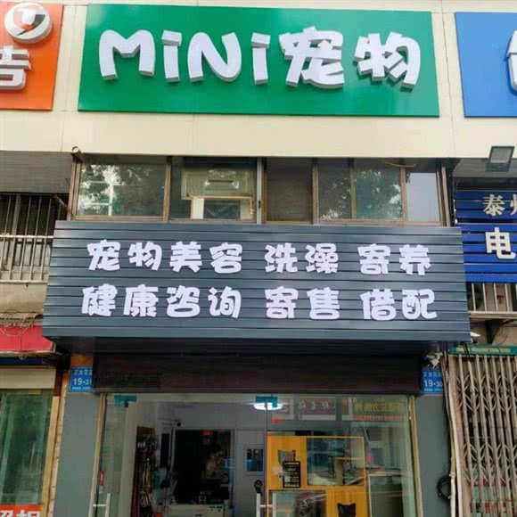 mini宠物:泰州市姜堰区
