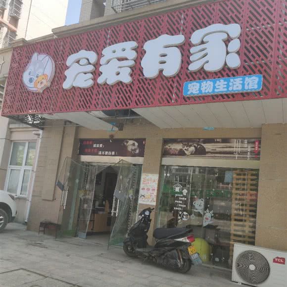 宠爱有家:泰州市姜堰区