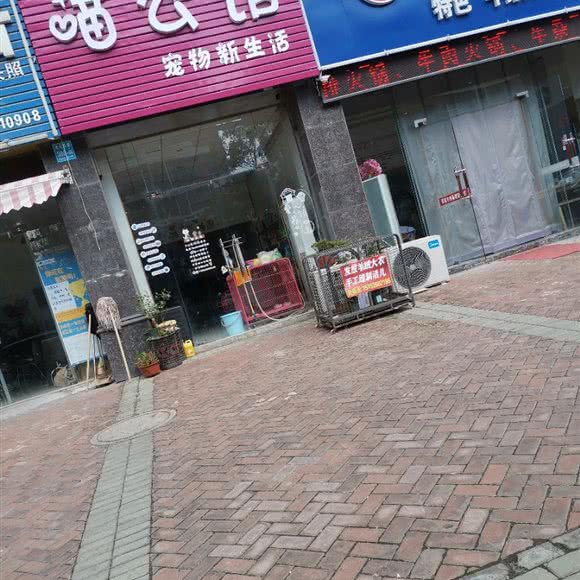 喵公馆宠物新生活:泰州市姜堰区