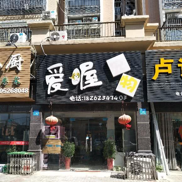 爱喔宠物:泰州市姜堰区