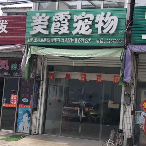 美霞宠物:泰州市姜堰区