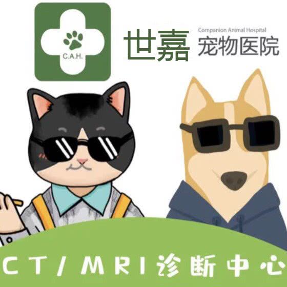 世嘉宠物医院:泰州市姜堰区