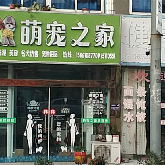 萌宠之家:泰州市兴化市