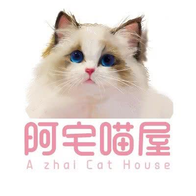 阿宅喵屋名猫馆:泰州市兴化市