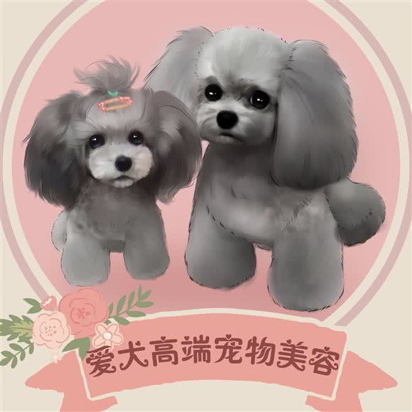爱犬高端宠物美容店:晋城市城区开发区附近