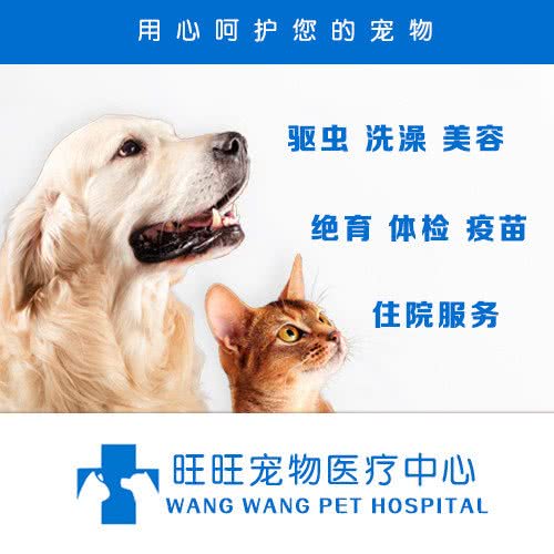 旺旺宠物医疗中心:泰州市兴化市