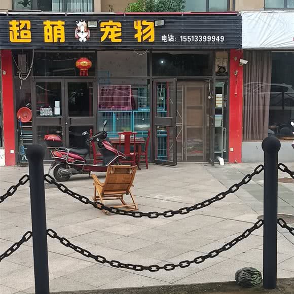 超萌宠物:晋城市城区开发区附近