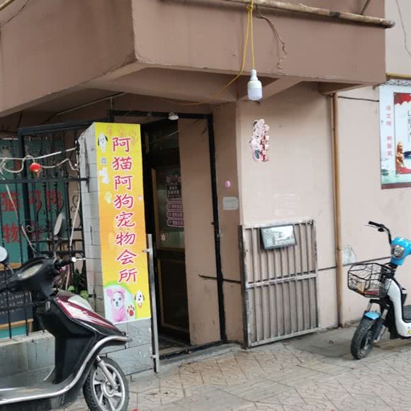 阿猫阿狗宠物会所:泰州市泰兴市