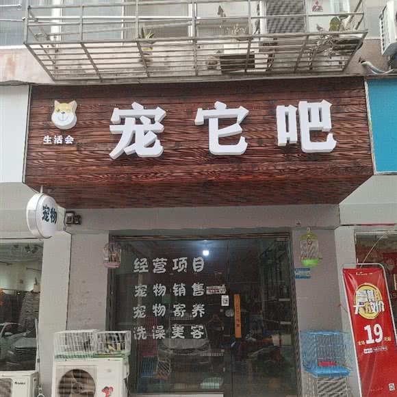 宠它吧:泰州市泰兴市