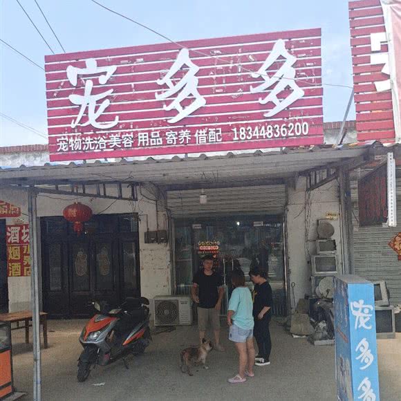 宠多多:泰州市泰兴市