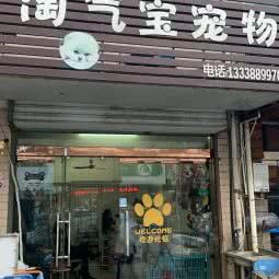 淘气宝宠物:泰州市泰兴市