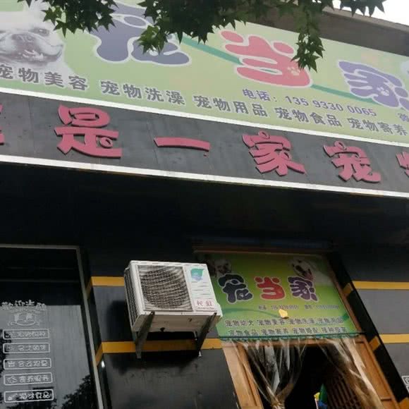 宠当家:晋城市城区新市东街附近