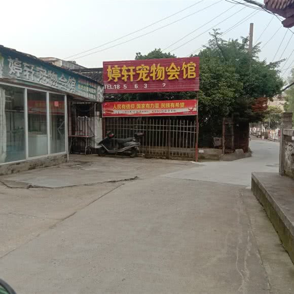 婷轩宠物会馆:泰州市泰兴市