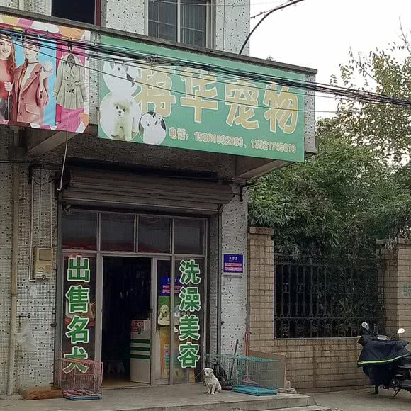 蒋华宠物:泰州市泰兴市
