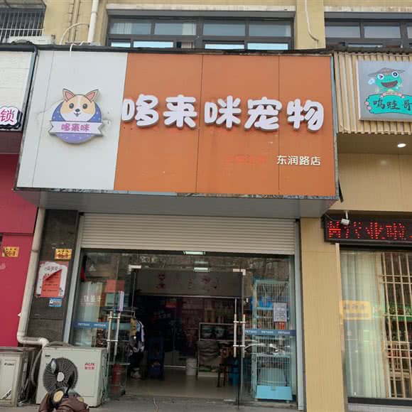 哆来咪宠物(东润路店):泰州市泰兴市