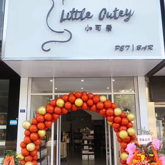 Little Cutey小可爱宠物:泰州市泰兴市
