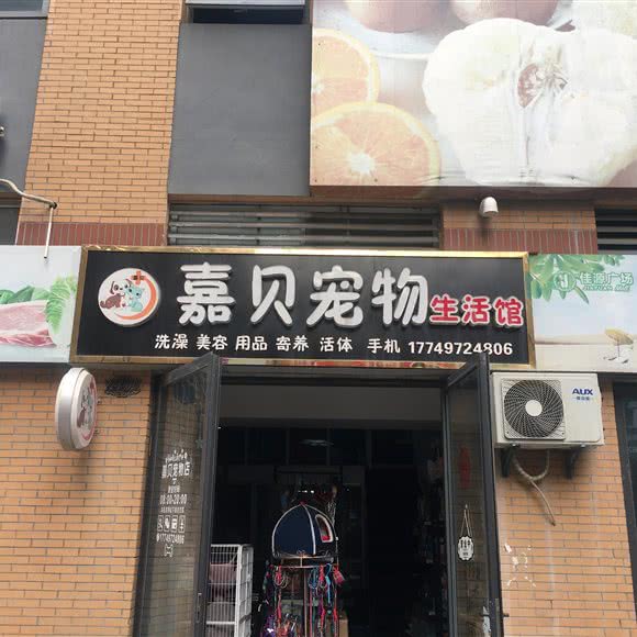 泰兴市嘉贝宠物店:泰州市泰兴市