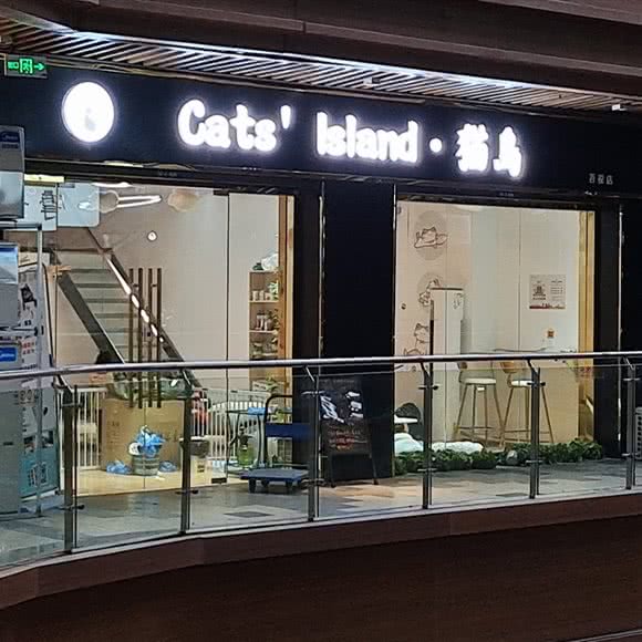 猫岛(吾悦店):泰州市泰兴市