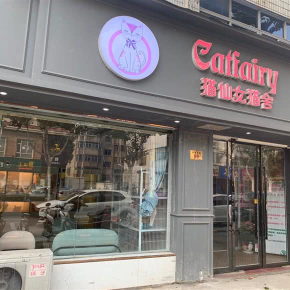 Catfairy猫仙女猫舍:泰州市泰兴市