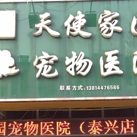 天使家园宠物医院:泰州市泰兴市