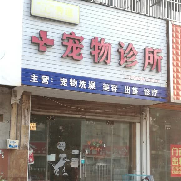 秀逗宠物诊所:泰州市泰兴市