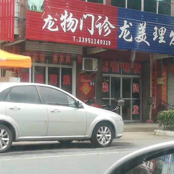 宠物门诊:泰州市泰兴市