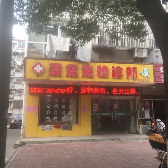 泰宠宠物诊所:泰州市泰兴市