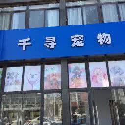 千寻宠物(月亮城):宿迁市宿城区