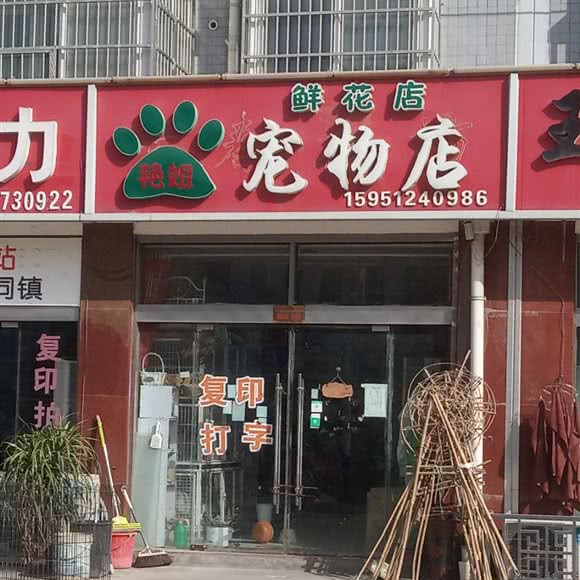 艳姐宠物店:宿迁市宿城区