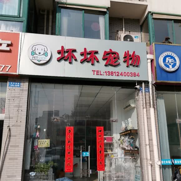坏坏宠物:宿迁市宿城区