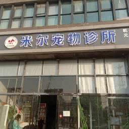 米尔宠物诊所:宿迁市宿城区