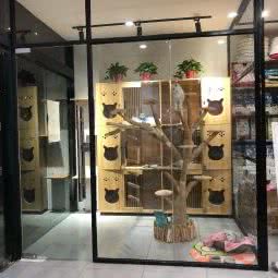 宠康宠物门诊:宿迁市宿城区