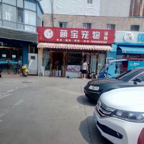 萌宝宠物诊所:晋城市城区矿务局附近