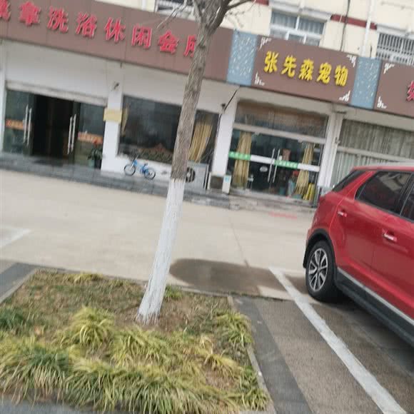 张先森宠物:宿迁市宿豫区