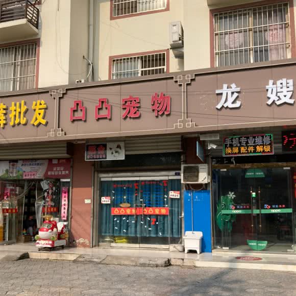 凸凸宠物:宿迁市宿豫区