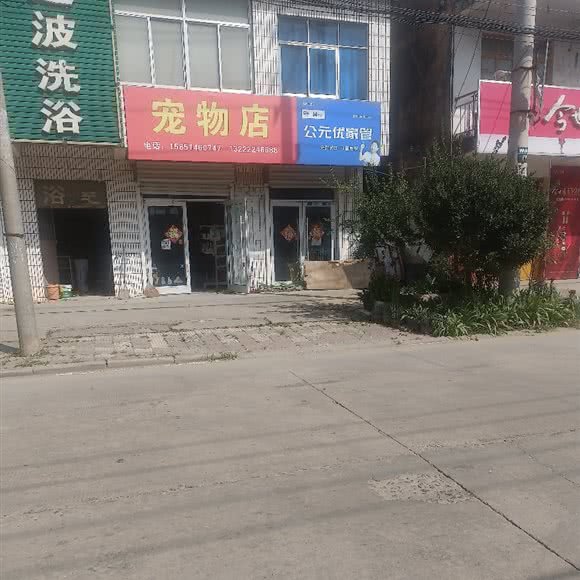 宠物店:宿迁市沭阳县