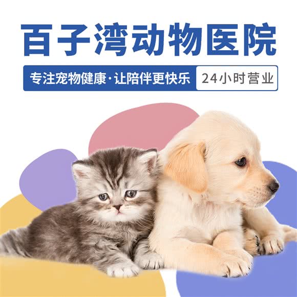 百子湾动物医院(24小时急诊店):北京城区朝阳区百子湾附近