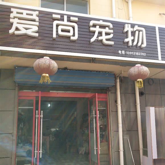 爱尚宠物:宿迁市沭阳县