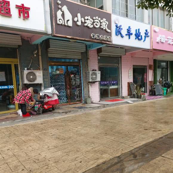 小宠当家宠物生活馆:宿迁市沭阳县