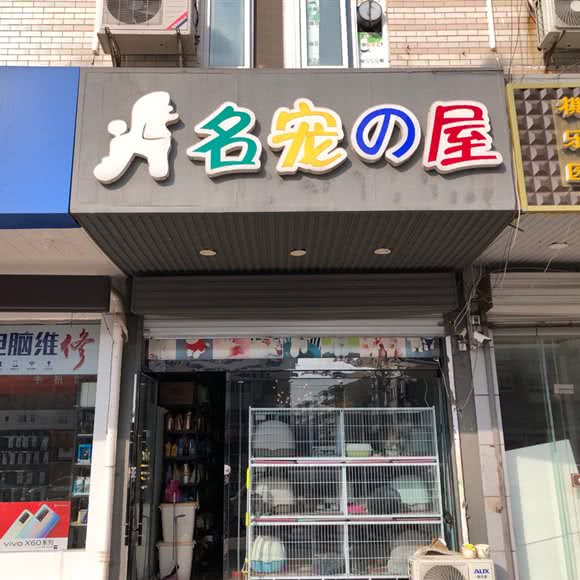 名宠の屋:宿迁市沭阳县