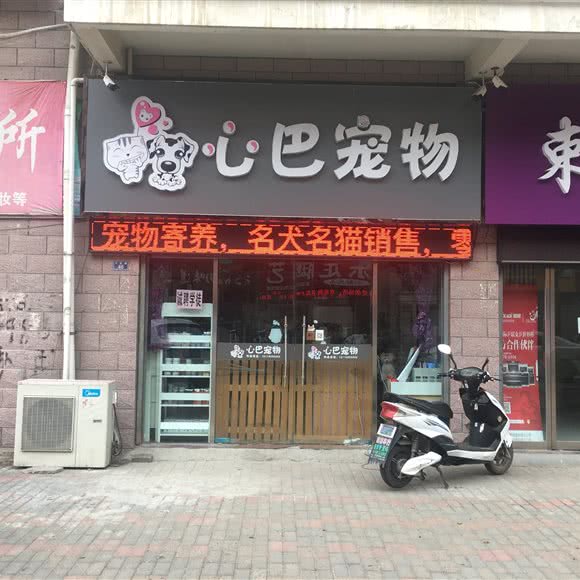 心巴宠物店:宿迁市沭阳县